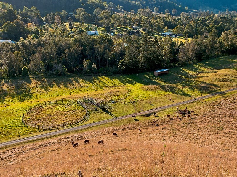 8 Reining Road, Canungra QLD 4275