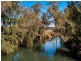 444 Cainbable Creek Road, Cainbable QLD 4285