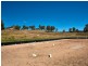 444 Cainbable Creek Road, Cainbable QLD 4285