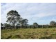 320 Tabletop Road, Illinbah QLD 4275