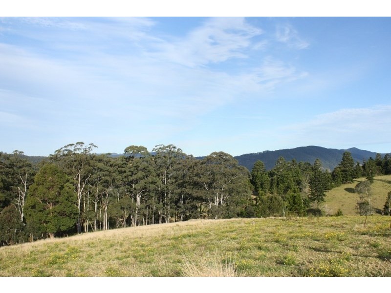 320 Tabletop Road, Illinbah QLD 4275