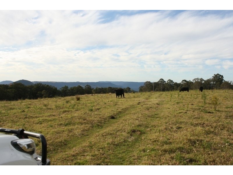 320 Tabletop Road, Illinbah QLD 4275