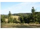 320 Tabletop Road, Illinbah QLD 4275