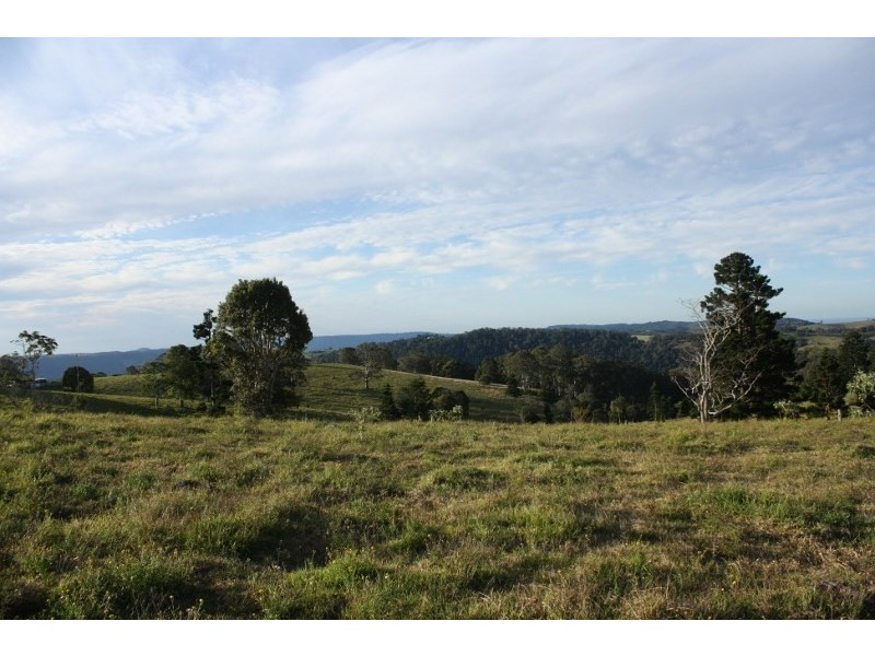 320 Tabletop Road, Illinbah QLD 4275