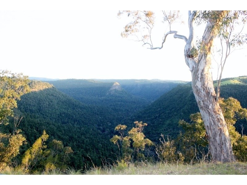 320 Tabletop Road, Illinbah QLD 4275