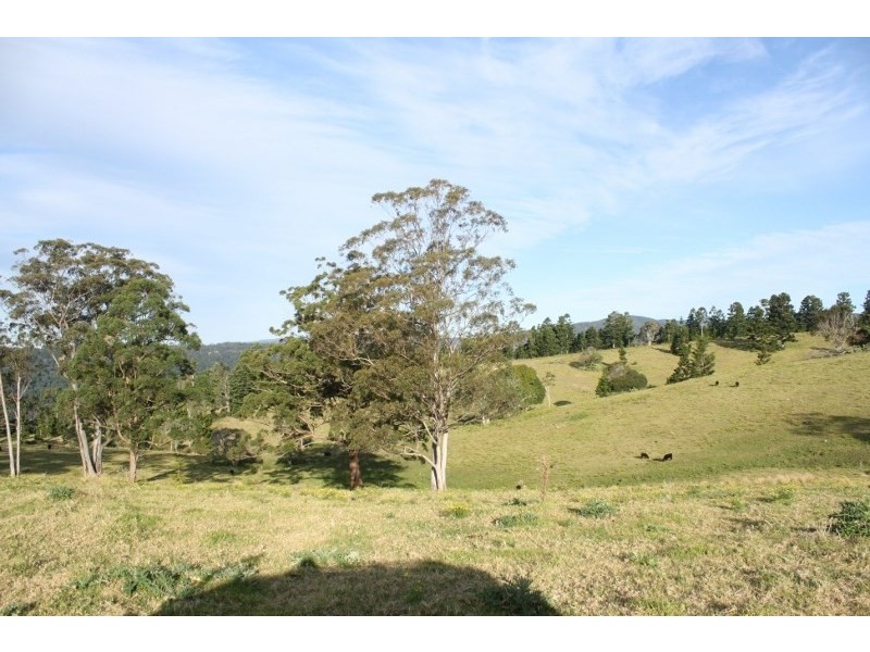 320 Tabletop Road, Illinbah QLD 4275