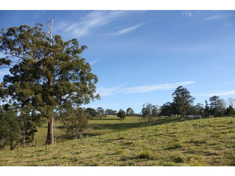 320 Tabletop Road, Illinbah QLD 4275