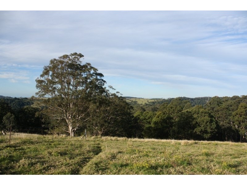 320 Tabletop Road, Illinbah QLD 4275