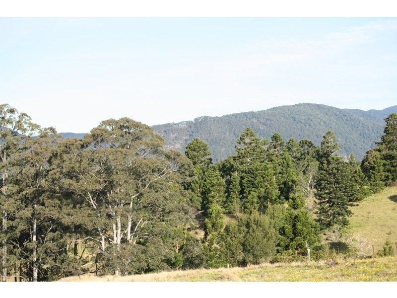 320 Tabletop Road, Illinbah QLD 4275
