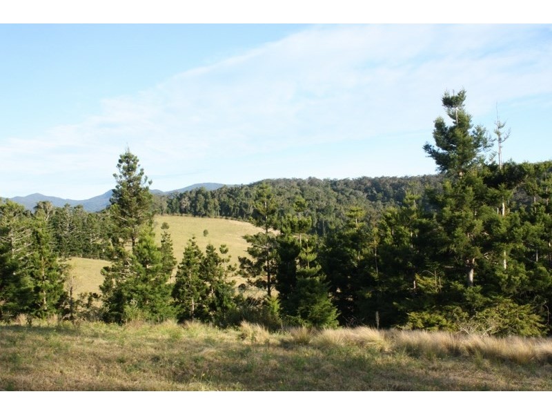 320 Tabletop Road, Illinbah QLD 4275