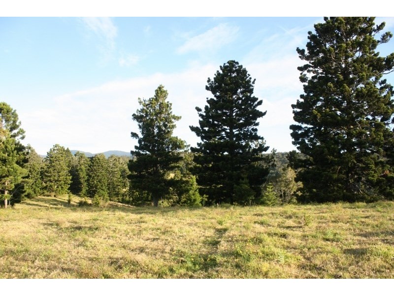 320 Tabletop Road, Illinbah QLD 4275