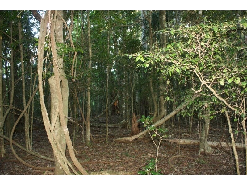 320 Tabletop Road, Illinbah QLD 4275