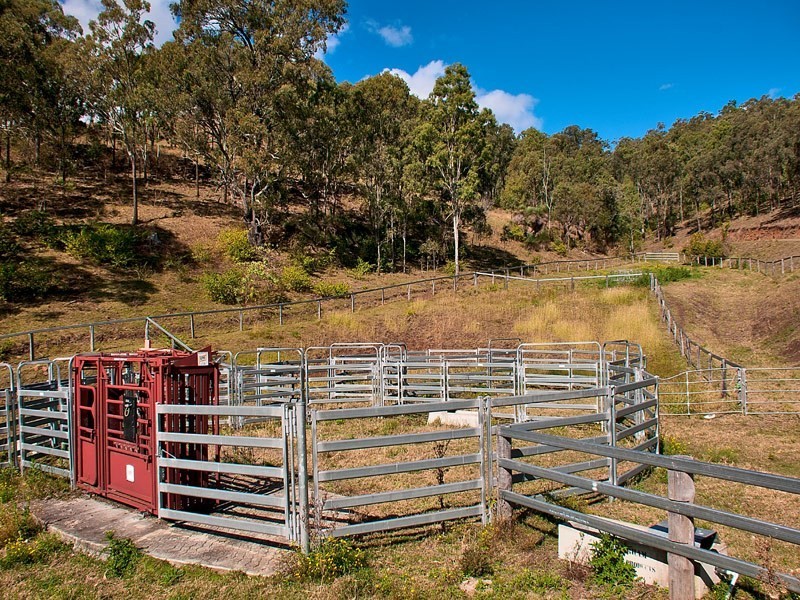 176 Spring Creek Road, Running Creek QLD 4287