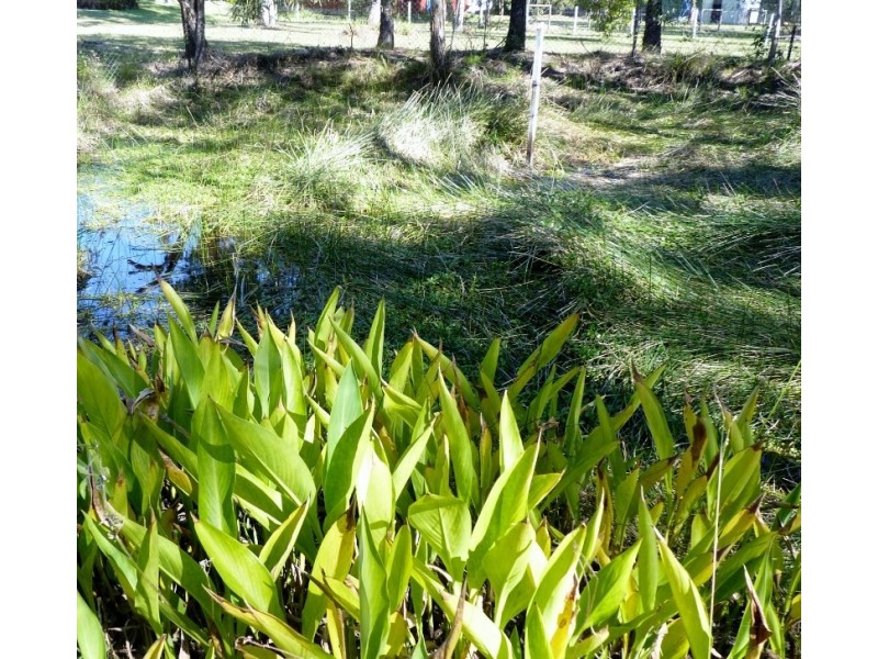 25-27 Hughes Road, Jimboomba QLD 4280