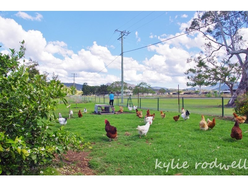 1683 Christmas Creek Road, Hillview QLD 4285