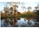701 Boonah-Rathdowney Road, Wallaces Creek QLD 4310