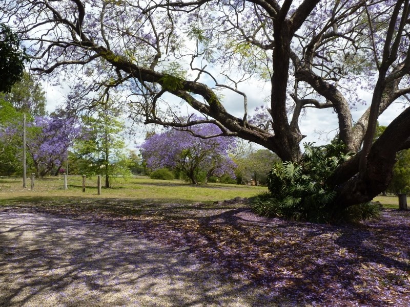 106 The Grange Road, Gleneagle QLD 4285