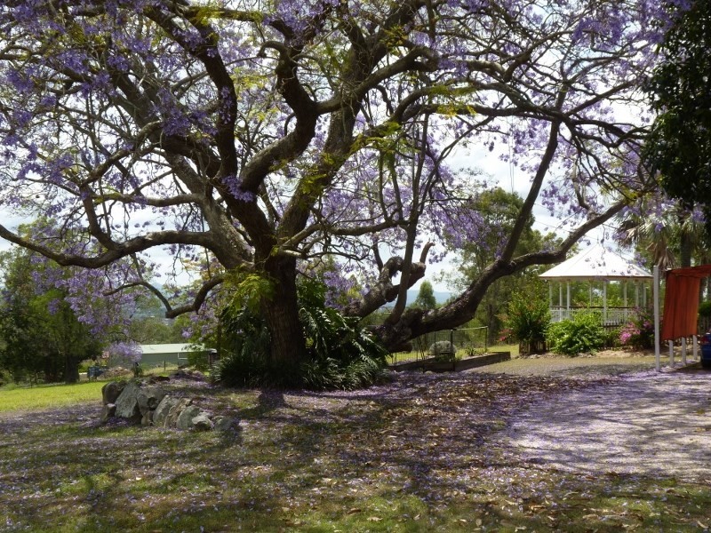 106 The Grange Road, Gleneagle QLD 4285