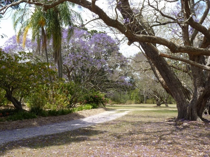 106 The Grange Road, Gleneagle QLD 4285