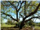 106 The Grange Road, Gleneagle QLD 4285