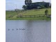 3272 Beaudesert – Nerang Road, Canungra QLD 4275