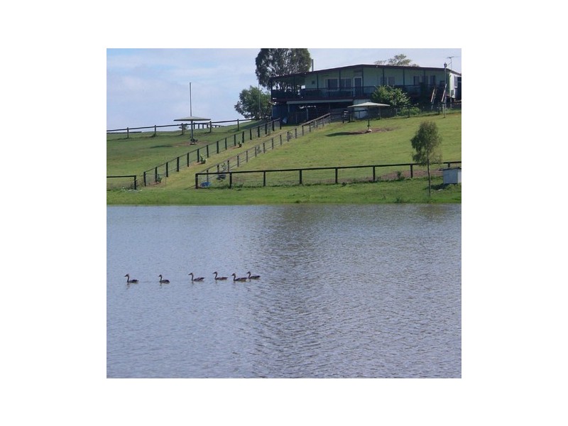 3272 Beaudesert – Nerang Road, Canungra QLD 4275