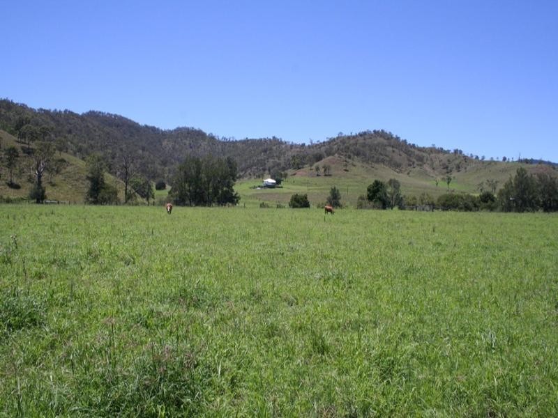 861 Running Creek Road, Running Creek QLD 4287