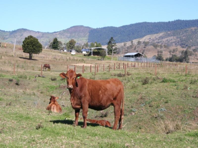 861 Running Creek Road, Running Creek QLD 4287