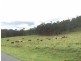 Lot 6, 0 Burnett Creek Road, Maroon QLD 4310