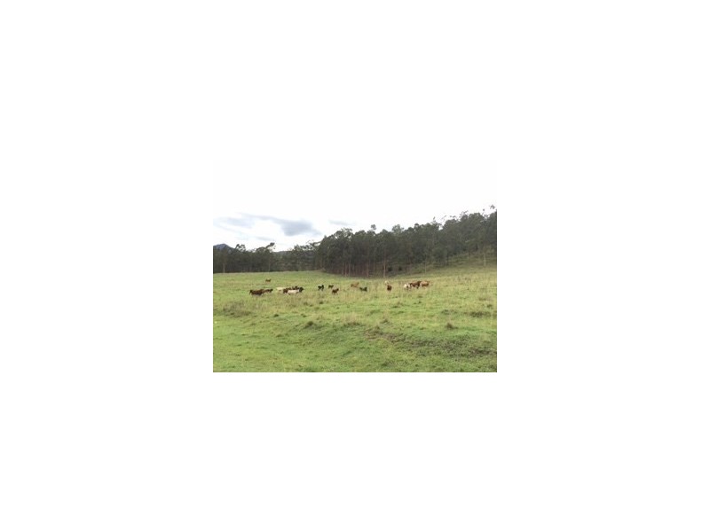 Lot 6, 0 Burnett Creek Road, Maroon QLD 4310