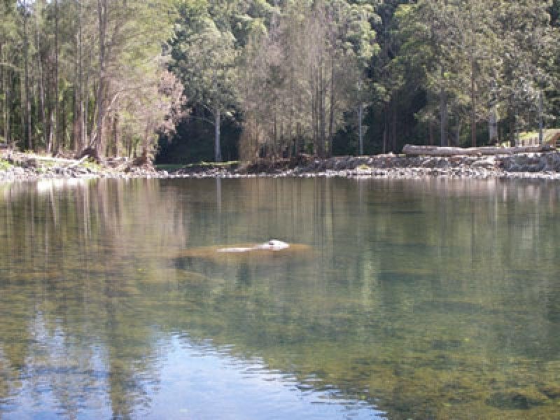 2913 Christmas Creek Road, Beaudesert QLD 4285