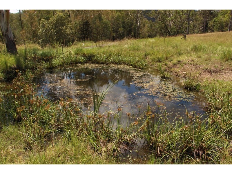 Lot 5 Cainbable Creek Road, Cainbable QLD 4285