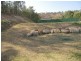 Kooralbyn QLD 4285