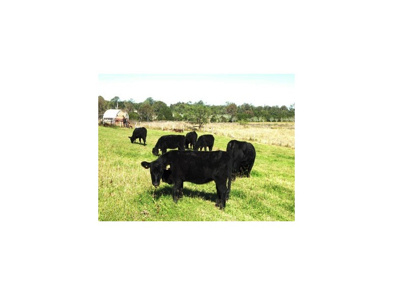 Jimboomba QLD 4280