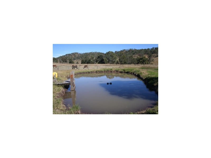 Christmas Creek QLD 4285