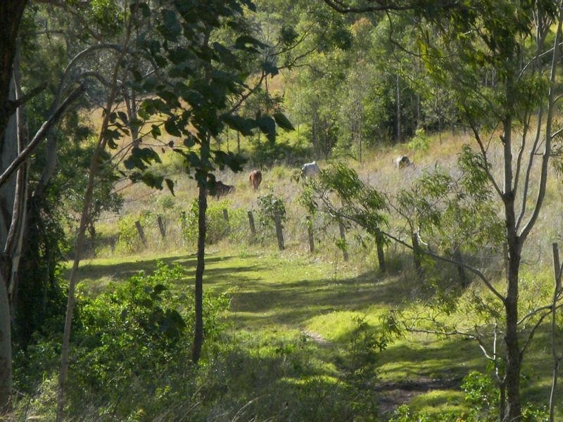 Running Creek QLD 4287