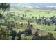 1214 Duck Creek Road, Beaudesert QLD 4285