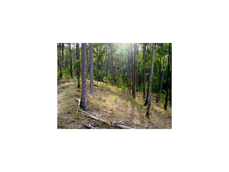 Beaudesert QLD 4285
