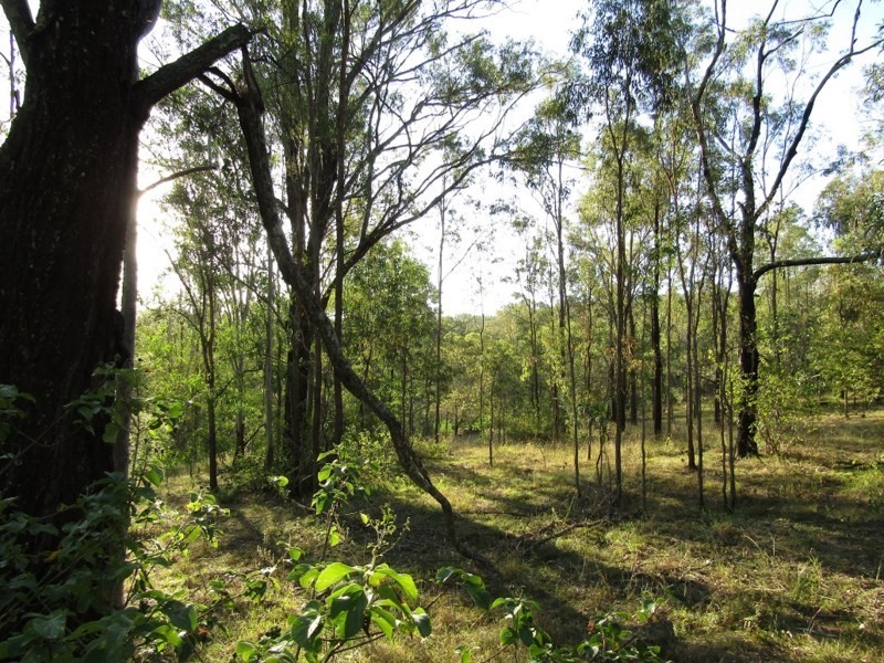 75 Von Nida Drive, Kooralbyn QLD 4285