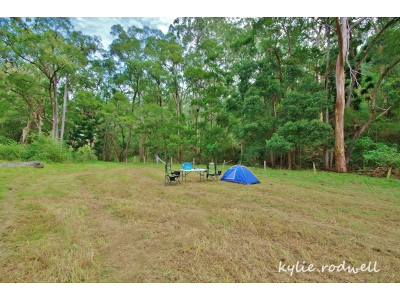 Christmas Creek QLD 4285