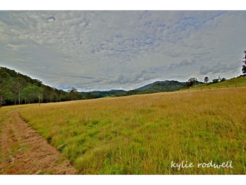 Christmas Creek QLD 4285