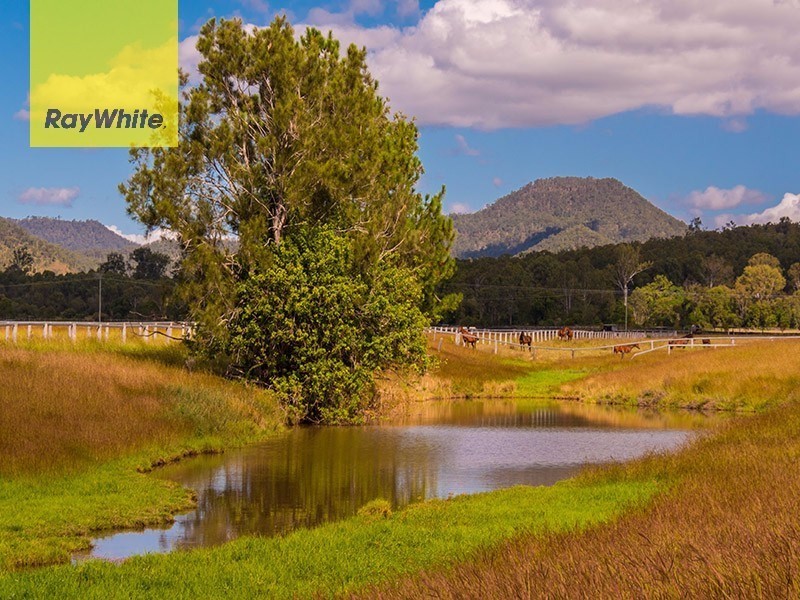 Lot 16 Biddaddaba Creek Road, Biddaddaba QLD 4275