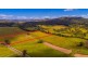 Lot 16 Biddaddaba Creek Road, Biddaddaba QLD 4275