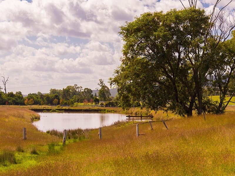Lot 16 Biddaddaba Creek Road, Biddaddaba QLD 4275