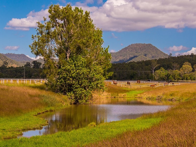 Lot 16 Biddaddaba Creek Road, Biddaddaba QLD 4275