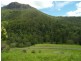 3196 Christmas Ck Rd Lamington, Beaudesert QLD 4285