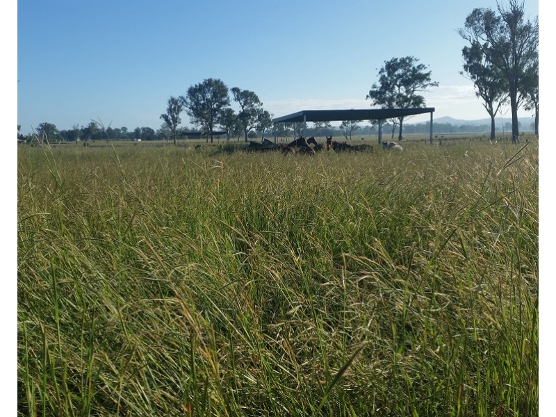 7610 Mount Lindesay Highway, Beaudesert QLD 4285