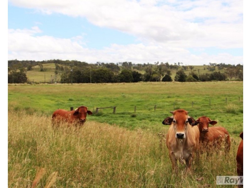 604 Running Creek Road, Running Creek QLD 4287