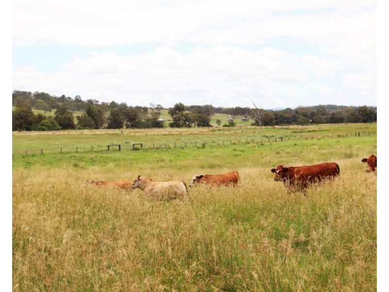 604 Running Creek Road, Running Creek QLD 4287