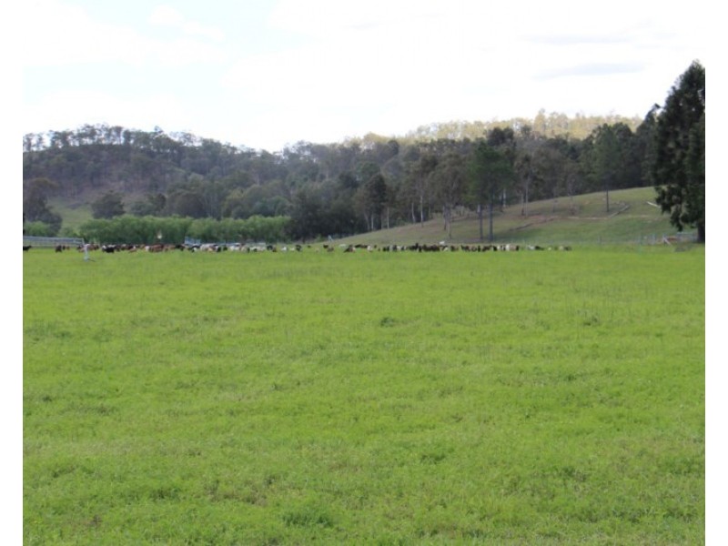 10765 Mount Lindesay Highway, Palen Creek QLD 4287